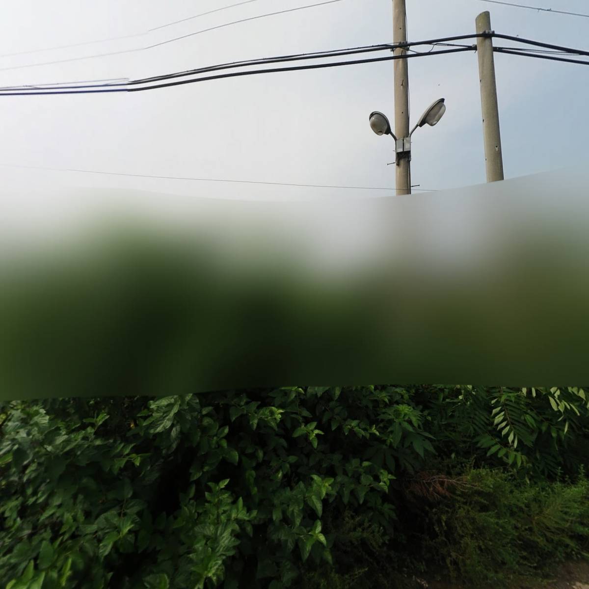 주식회사 라이킷코리아