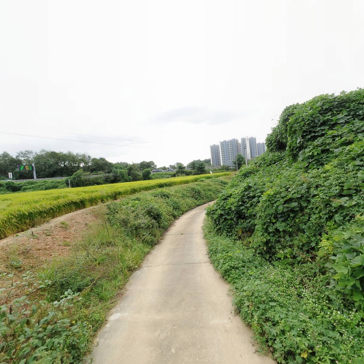 (주)티에스엔이_2