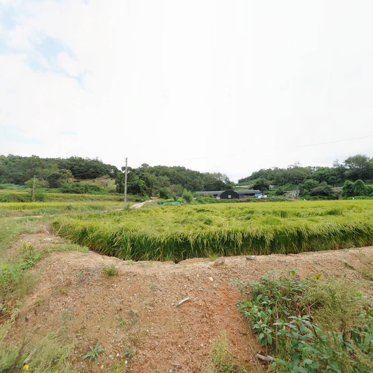 (주)티에스엔이