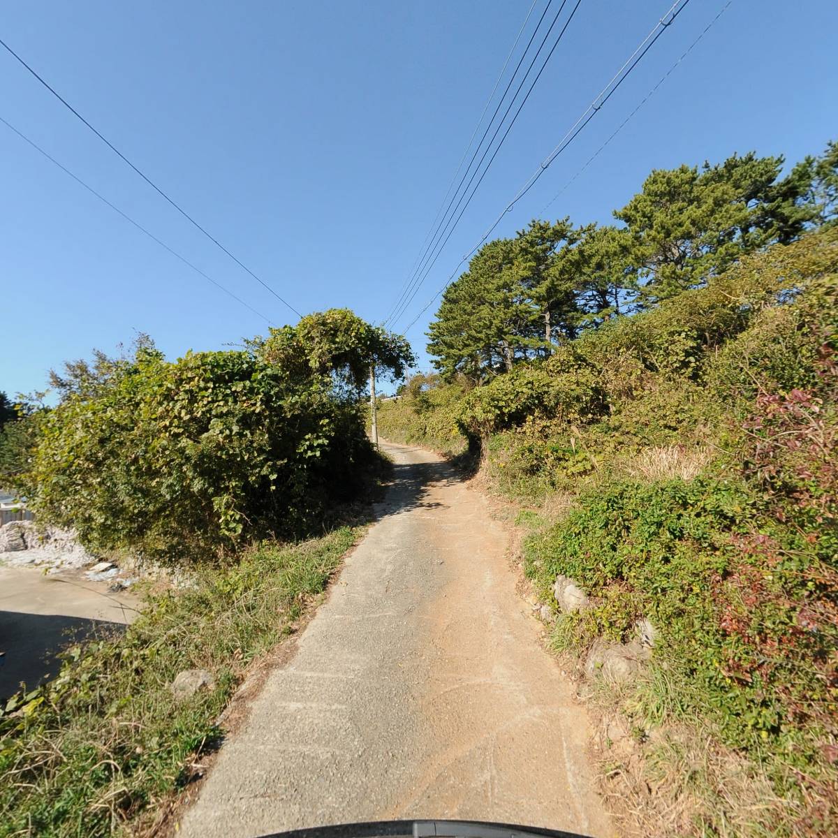 성도수산_2