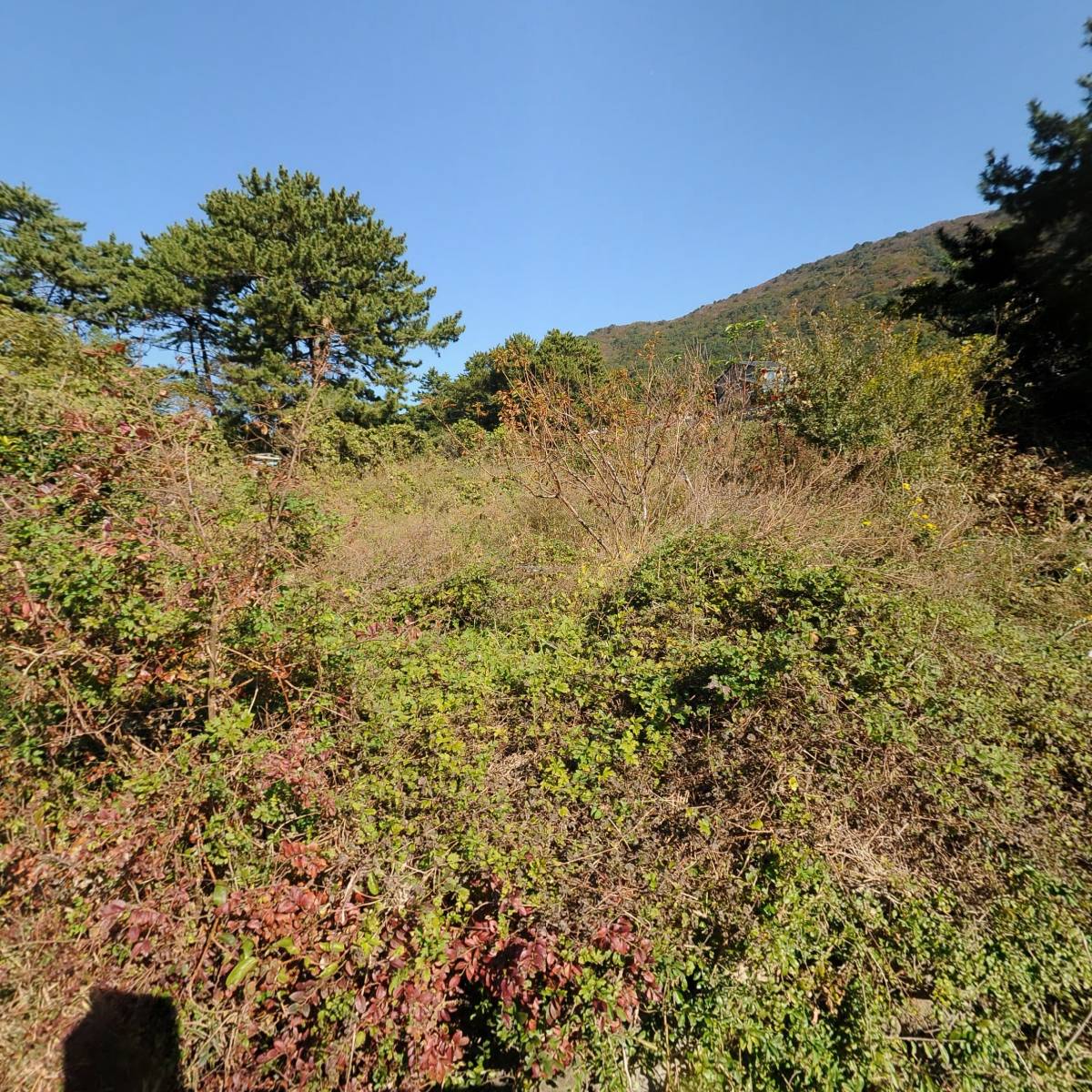 성도수산_3
