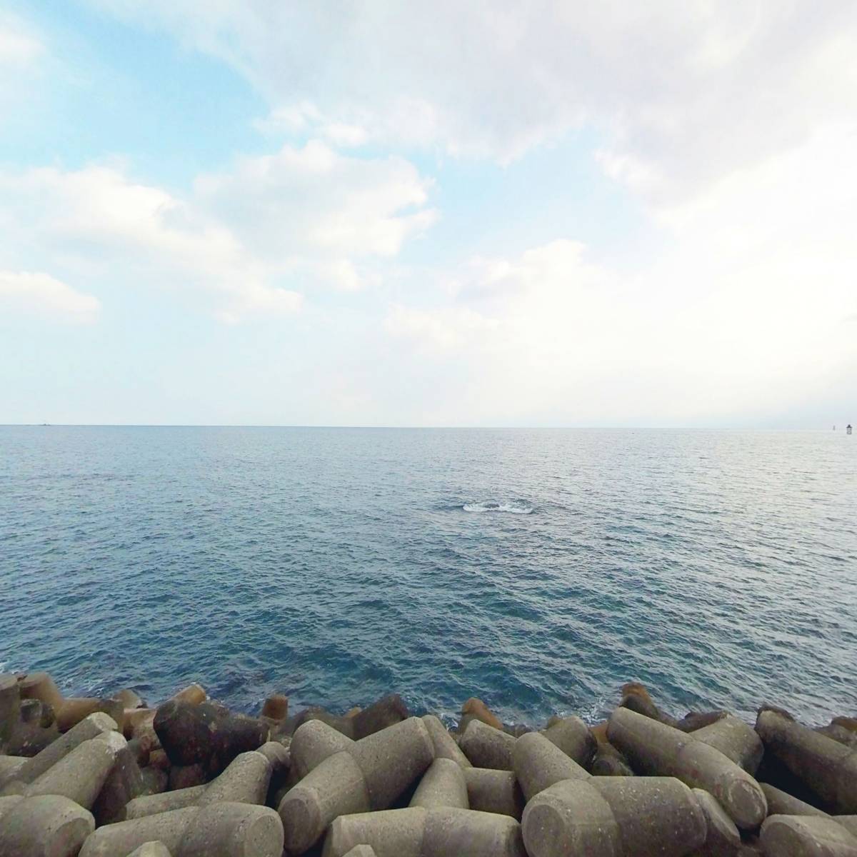 동명활어유통센타