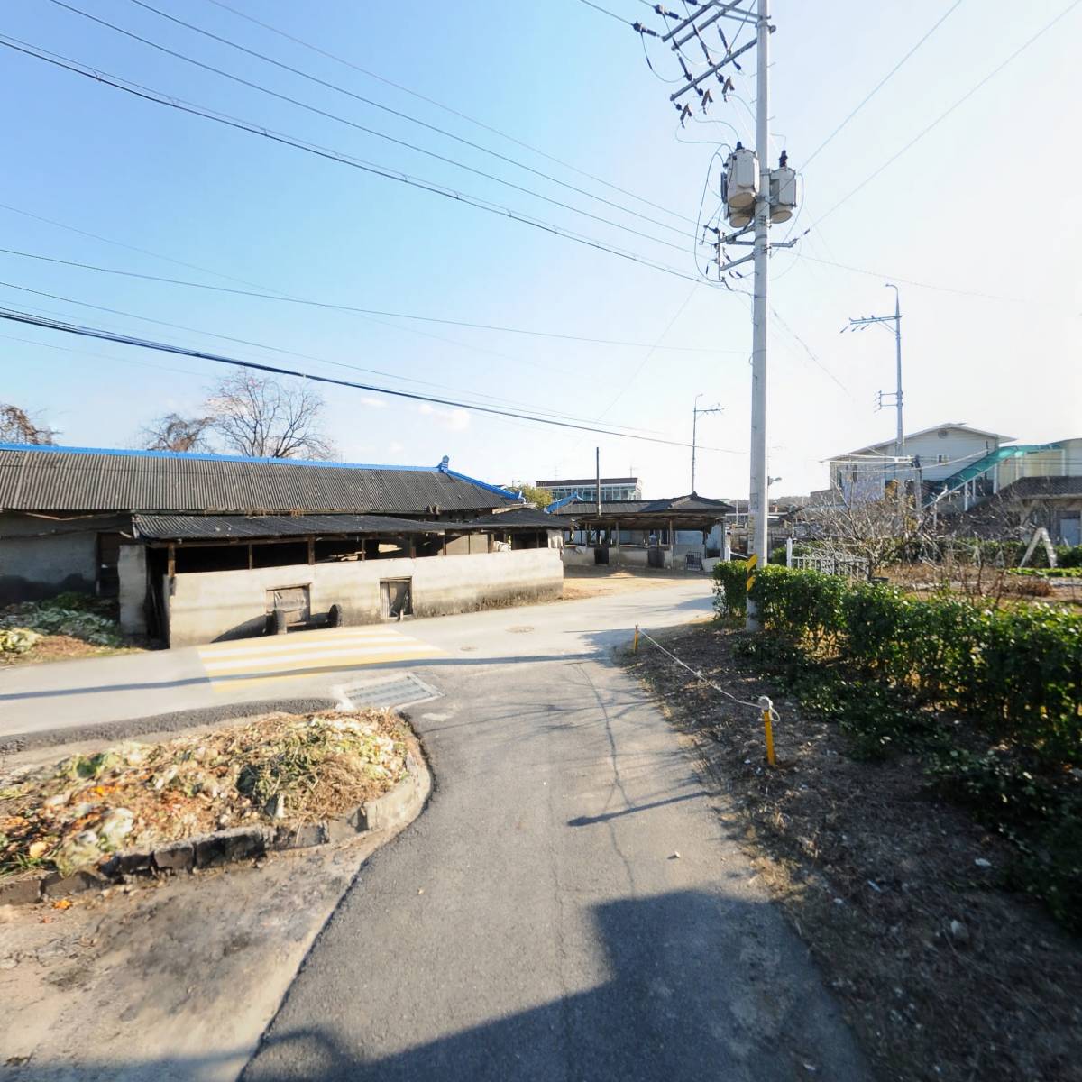 키코_2