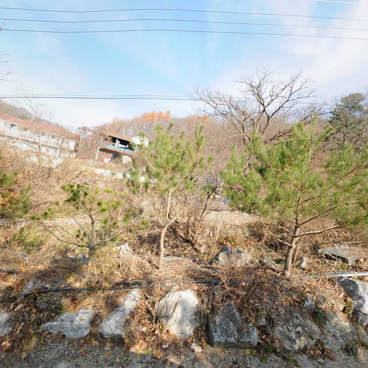 농업회사법인(주)상수리나무_3