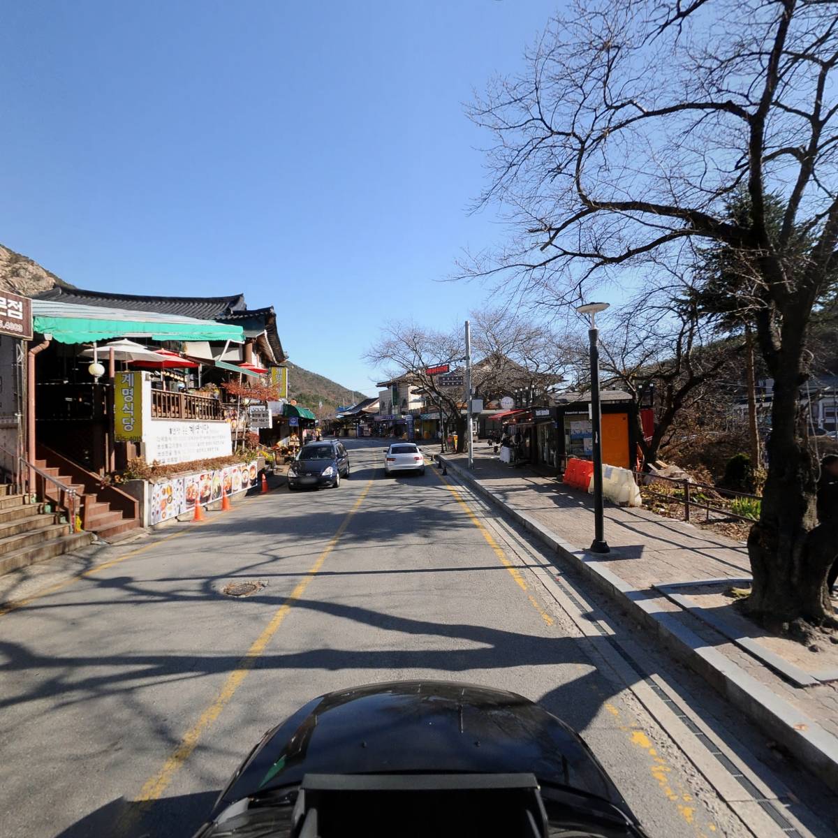 계룡산산야초본가_4