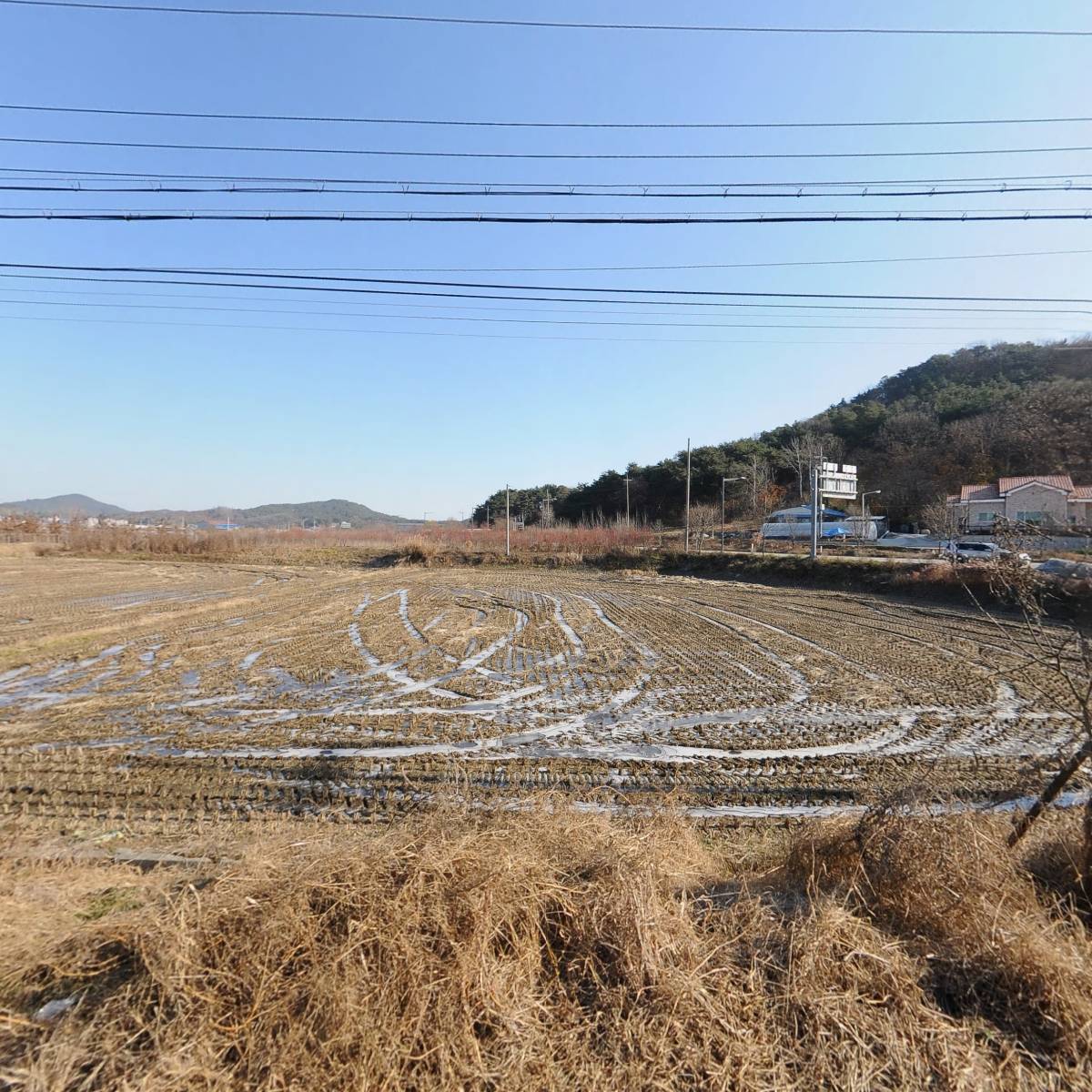 주식회사선사뜰농업회사법인