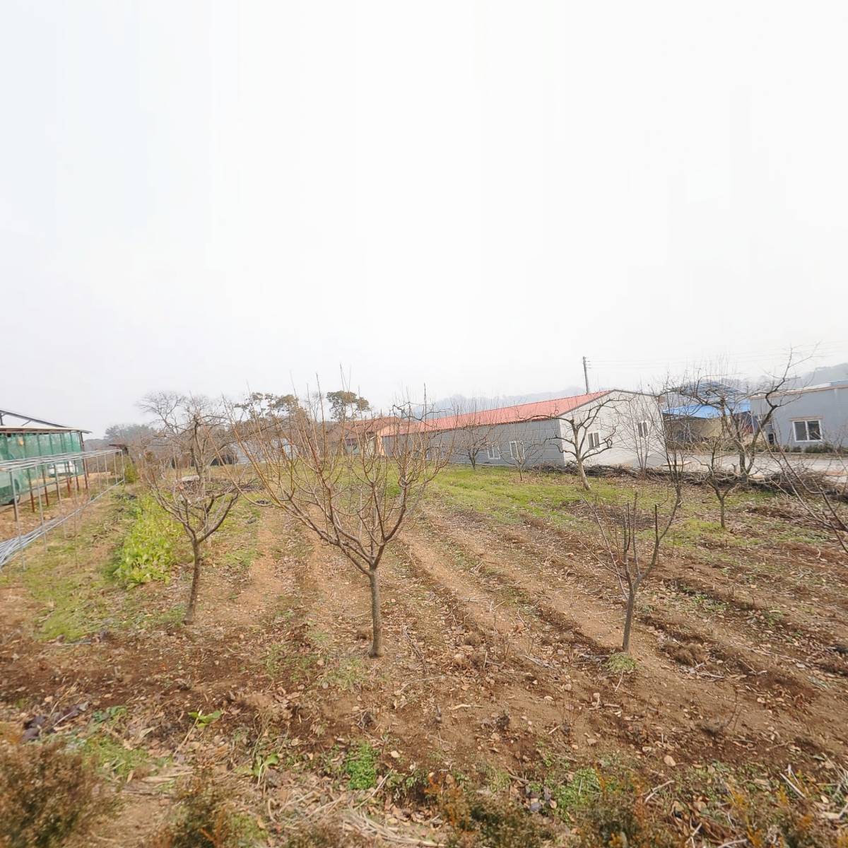 무형유산기술연구원