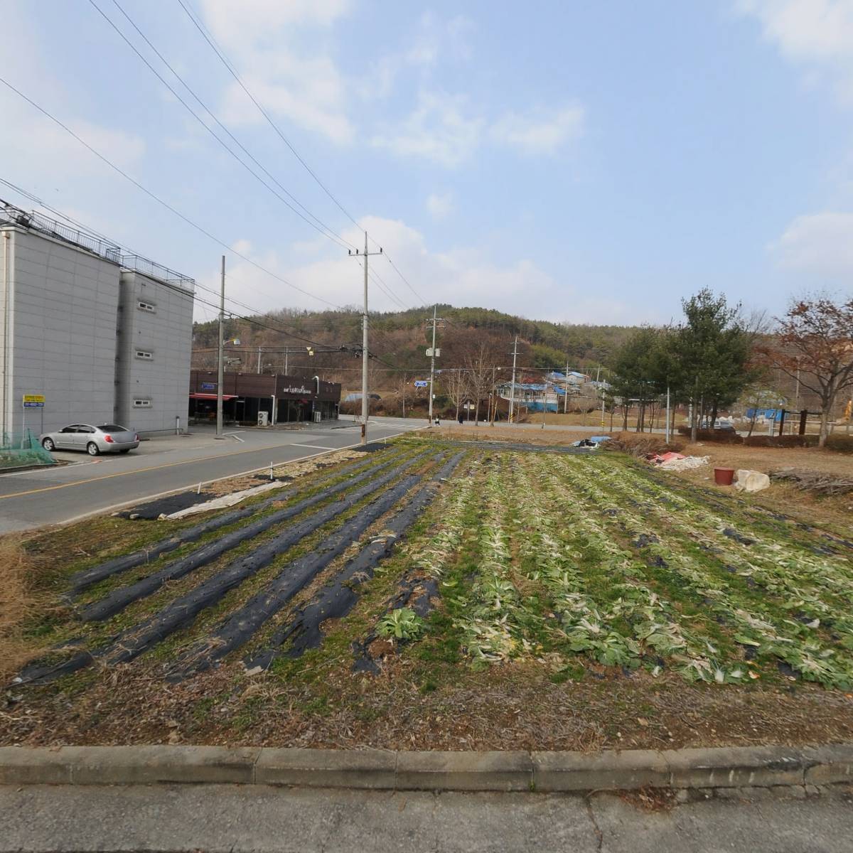 원조2대예산시장국수_3