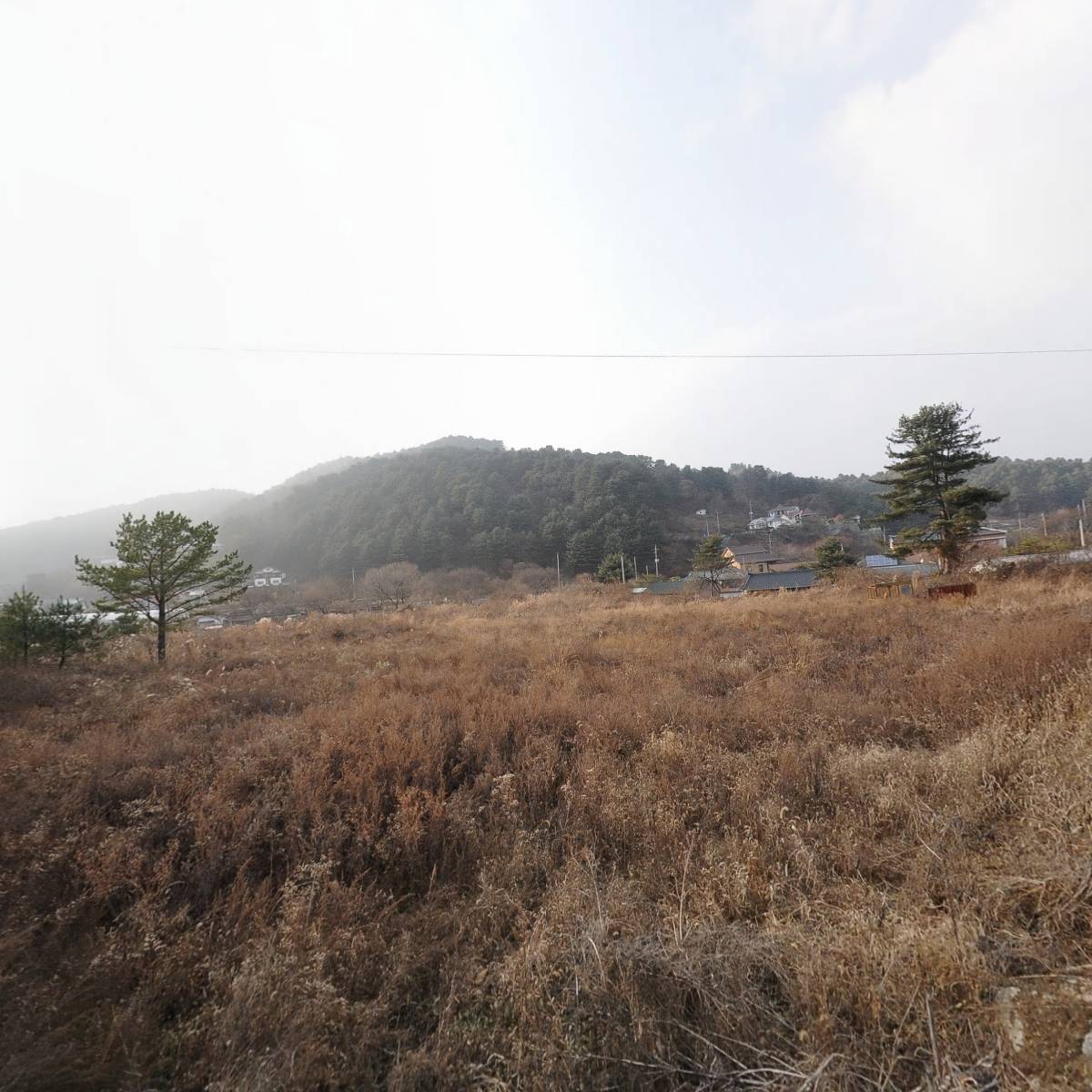 골드스푼애견풀빌라
