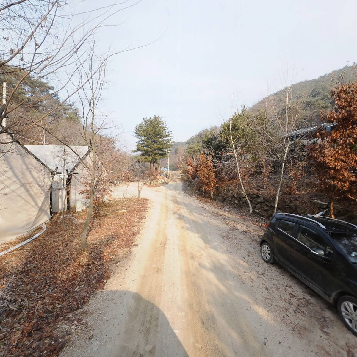 자일랜드_2