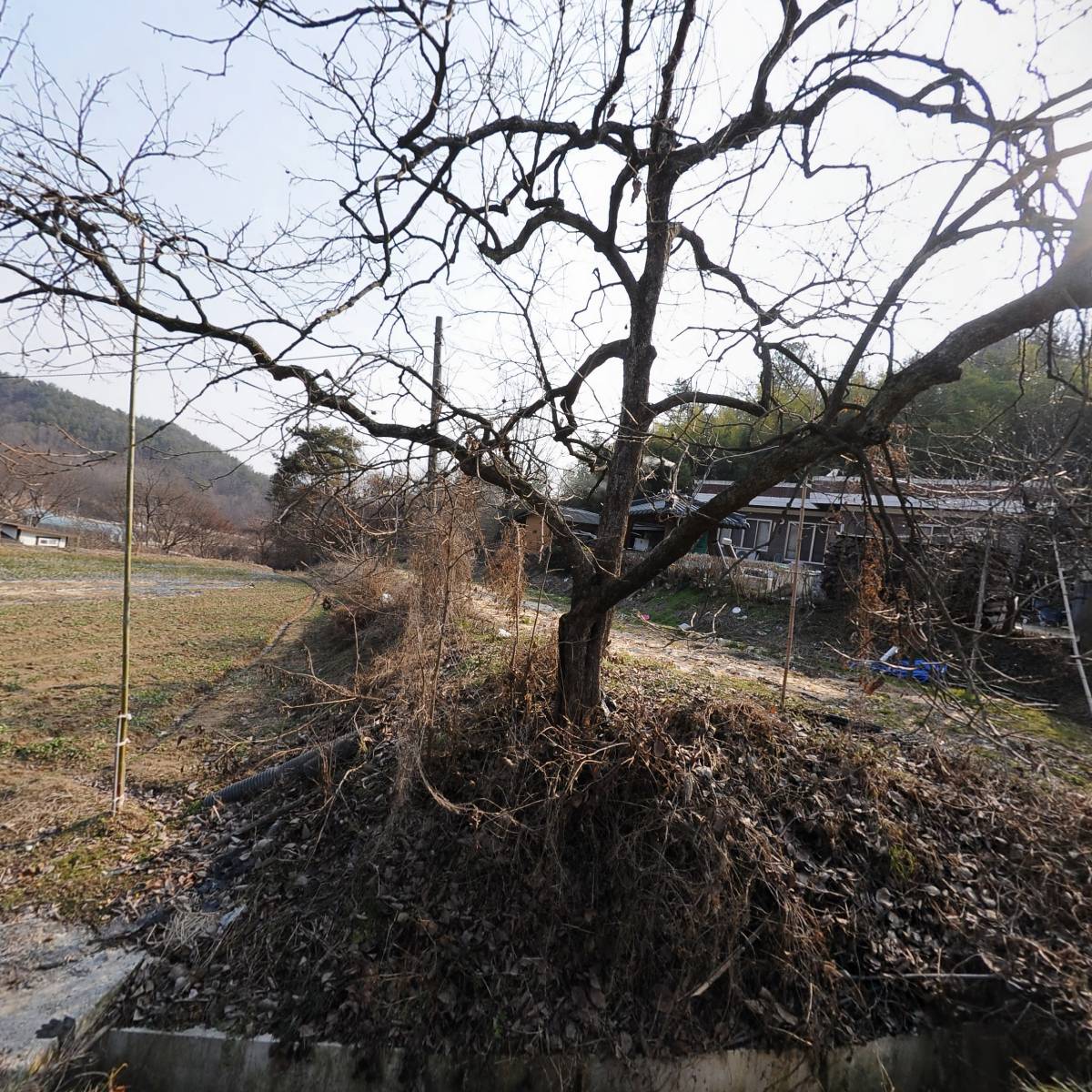 미주불교무량불종 정심사_3