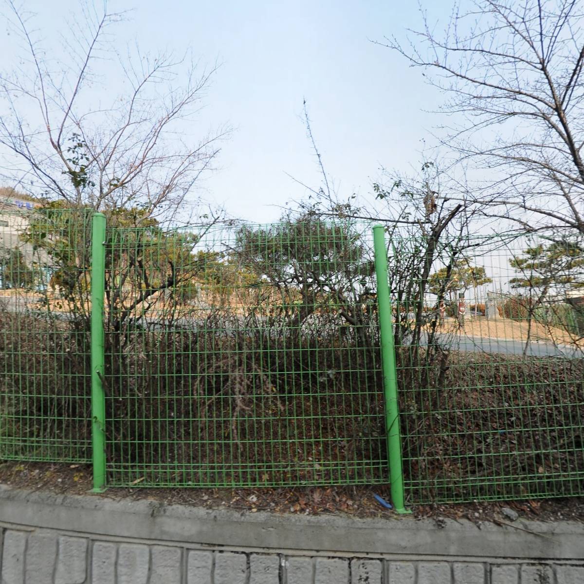 주식회사덱스
