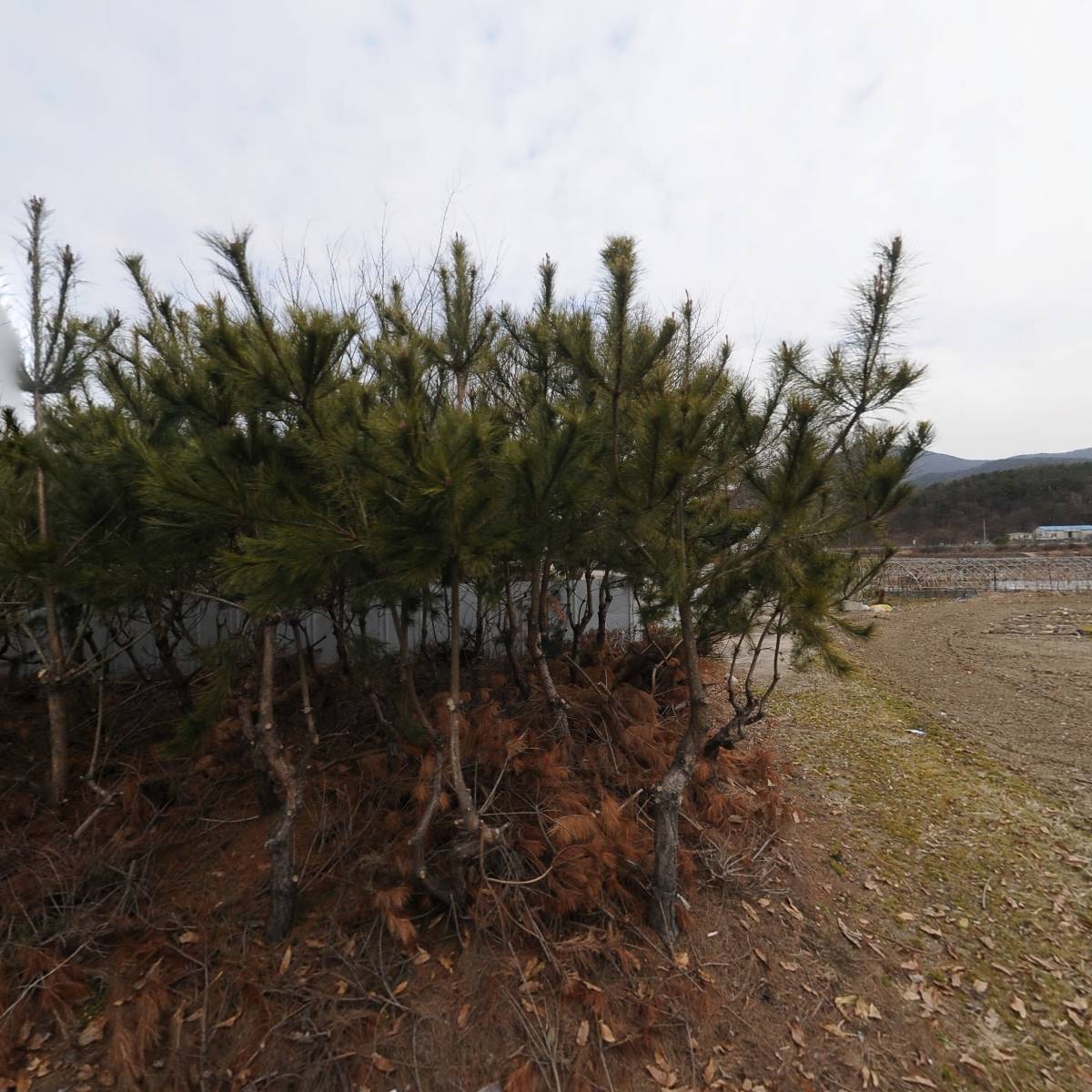 승천바이오텍