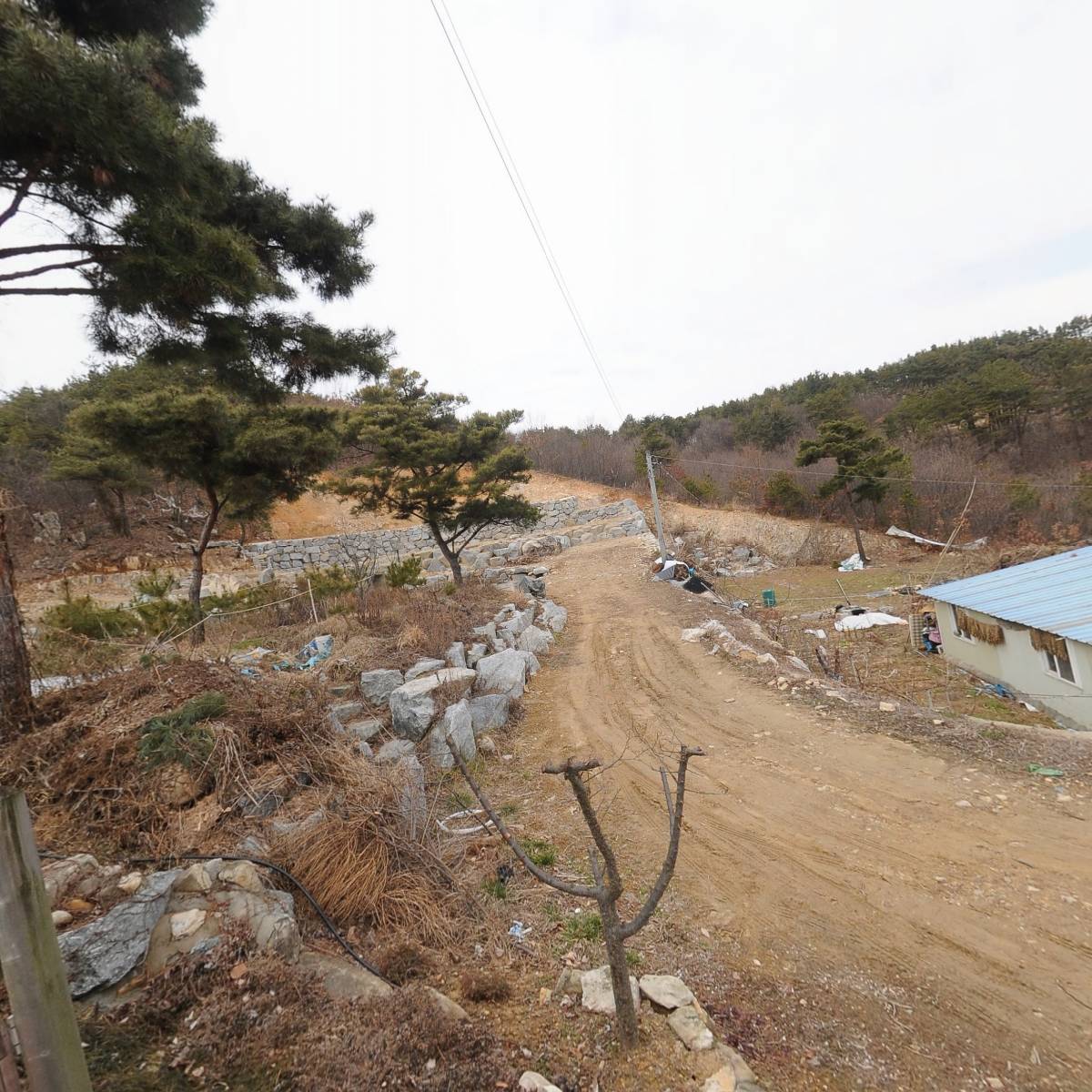 (주)오감통통숲앤아이