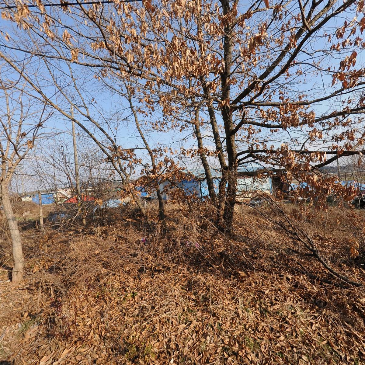한국기독교장로회 세도교회