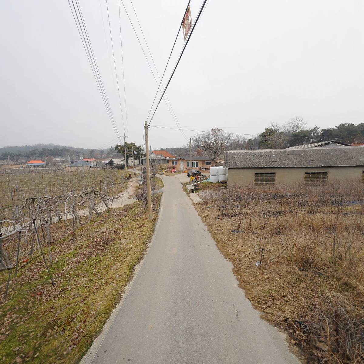 기독교대한성결교회시온교회_2