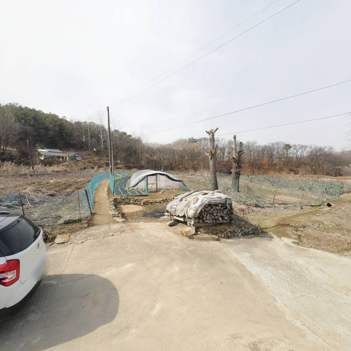 전주이씨 광평대군파 건하공종중