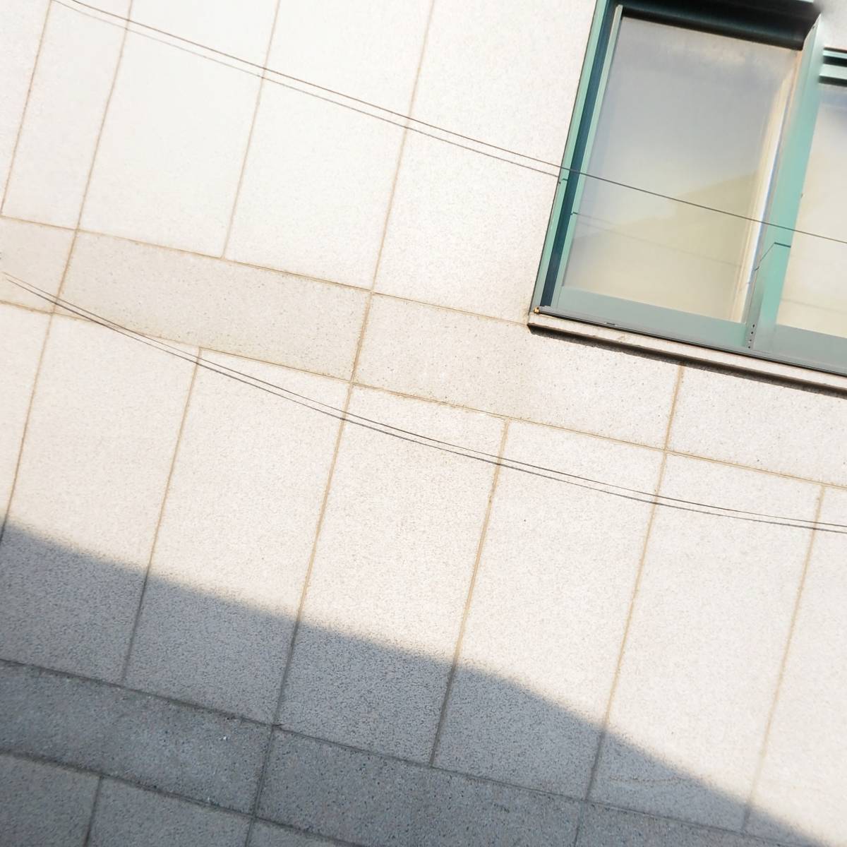 (주)피앤티플러스