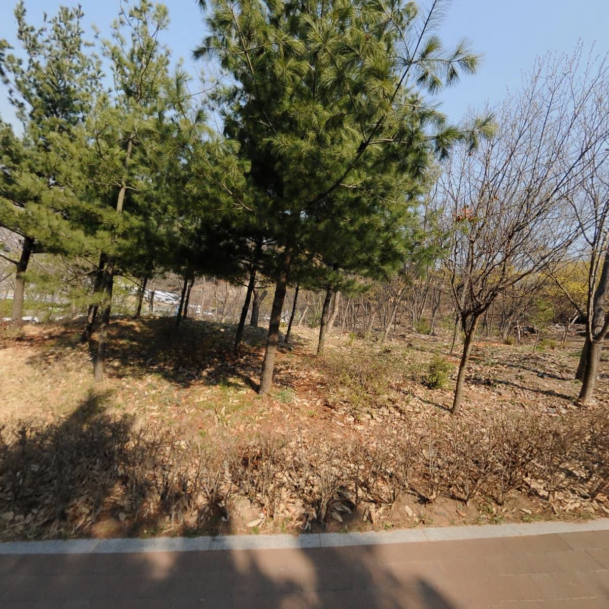 주식회사아스터개발제3호유성1차_3