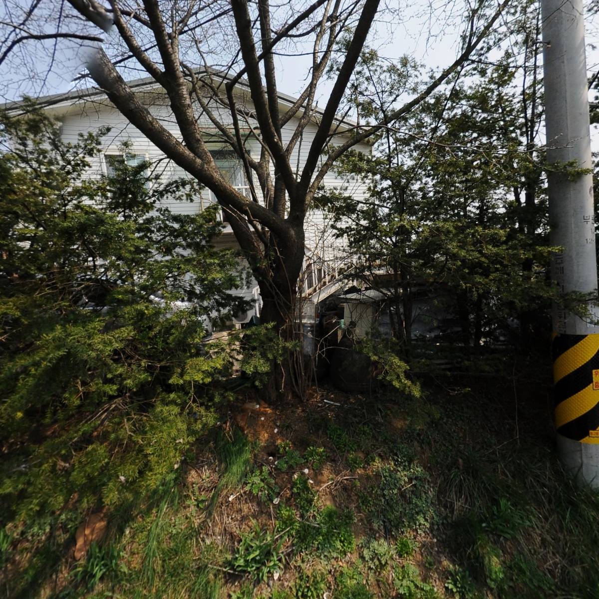 보화_3