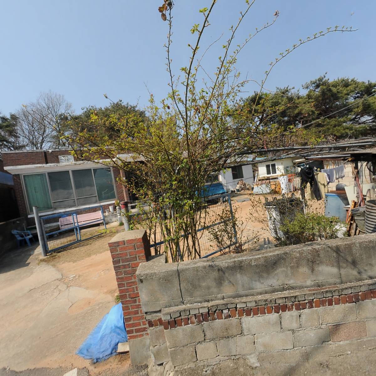 인포비전