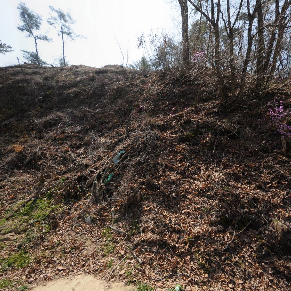 대화전기산업(주）