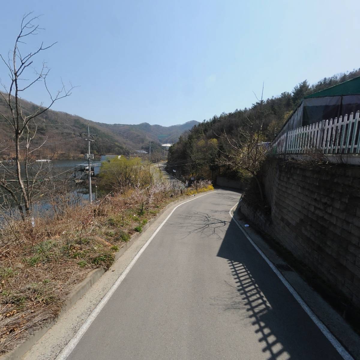 무지개포레스트_2