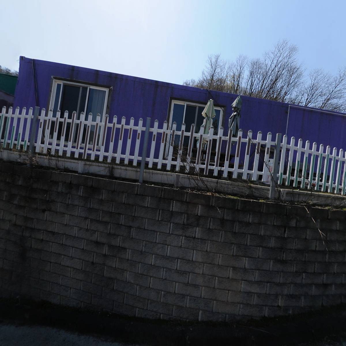 무지개포레스트_3