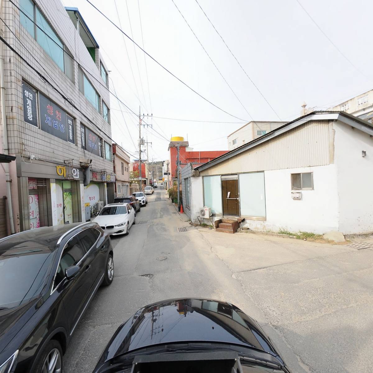 단풍_4