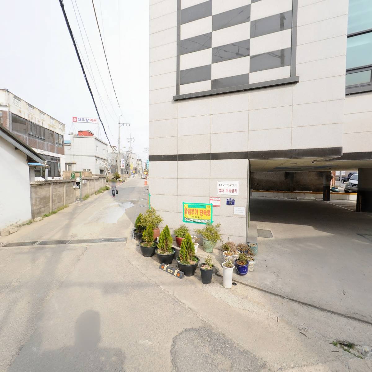 단풍