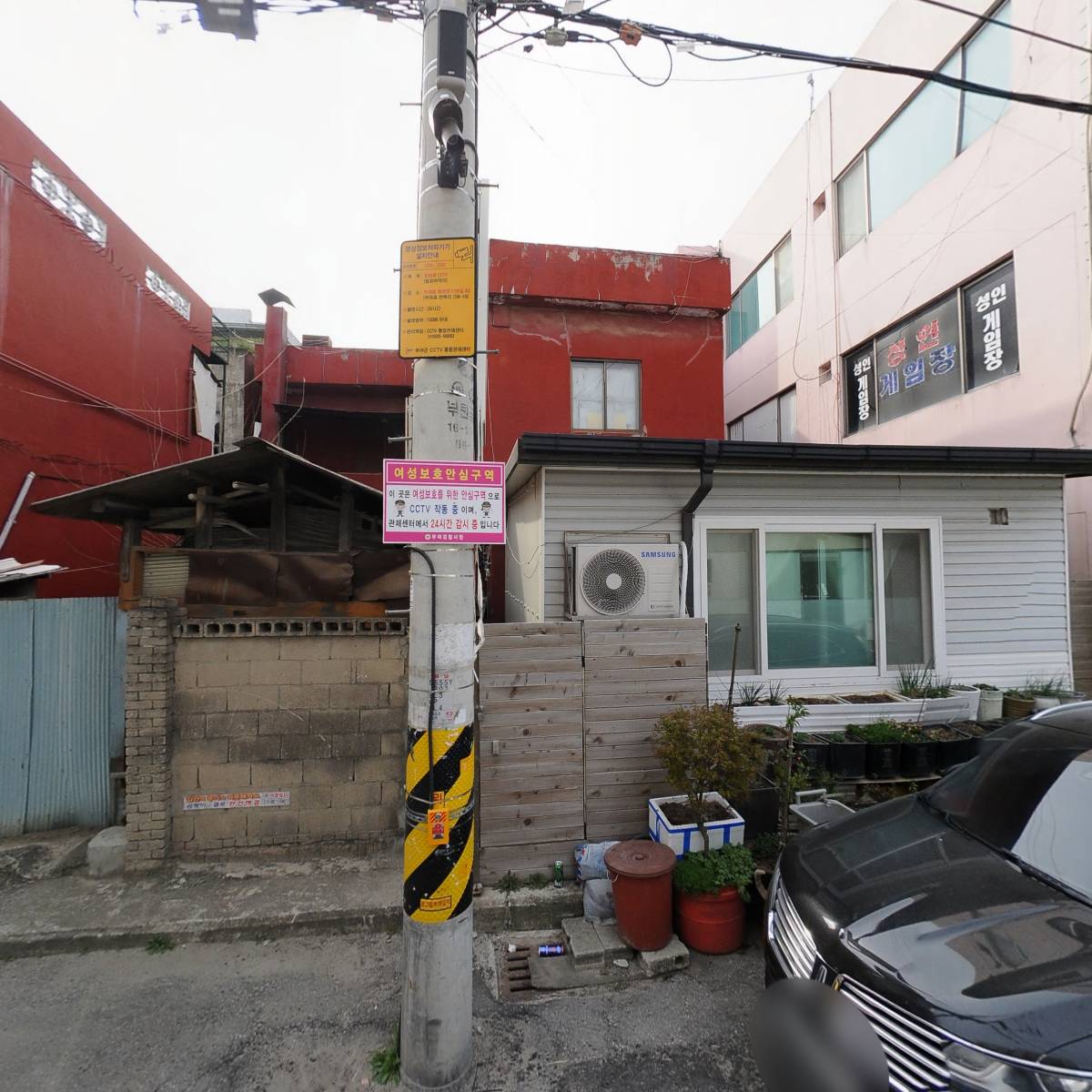 단풍_3