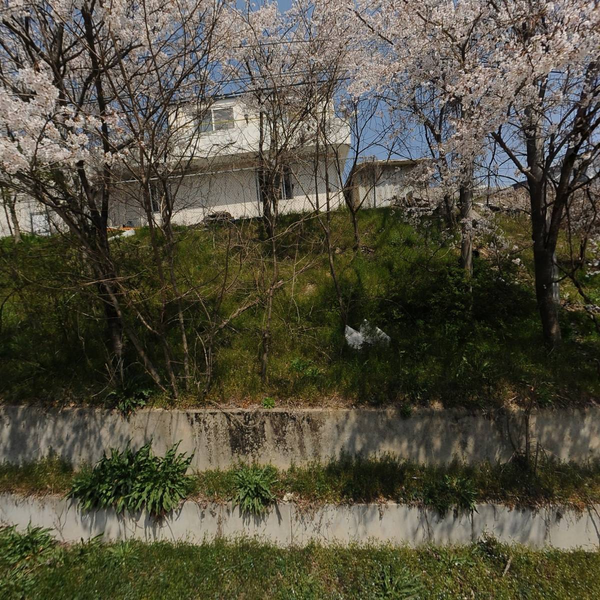 진흥산업