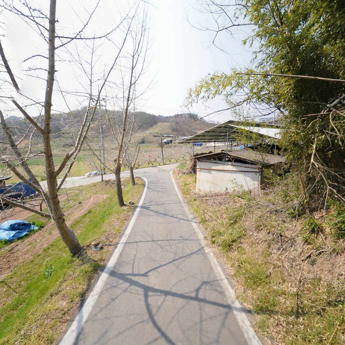 김녕김씨충의공파병학공손대종회작골문중_2