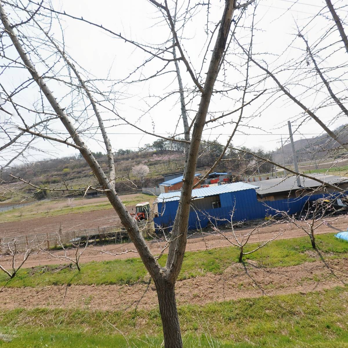 김녕김씨충의공파병학공손대종회작골문중