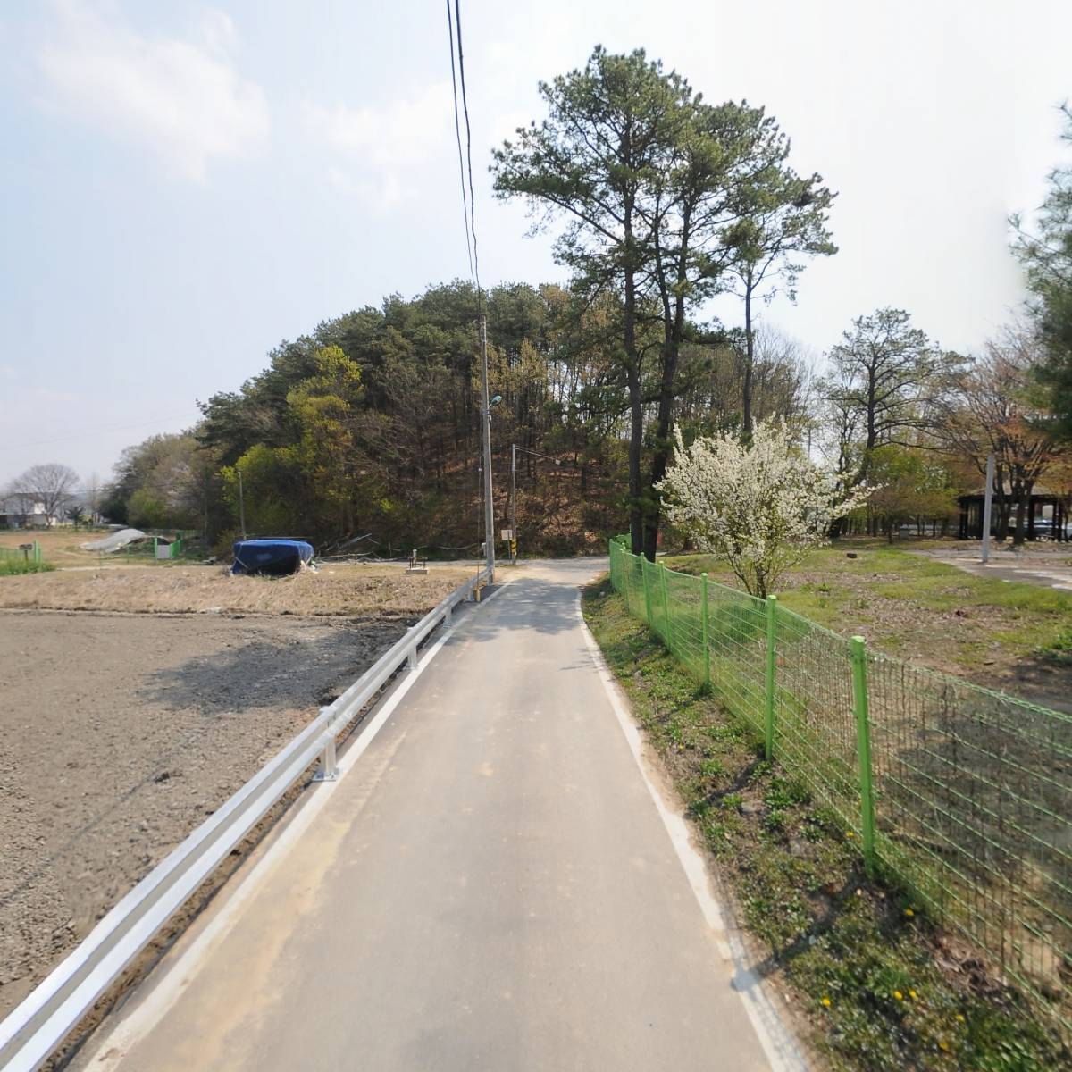 봉황중학교_2