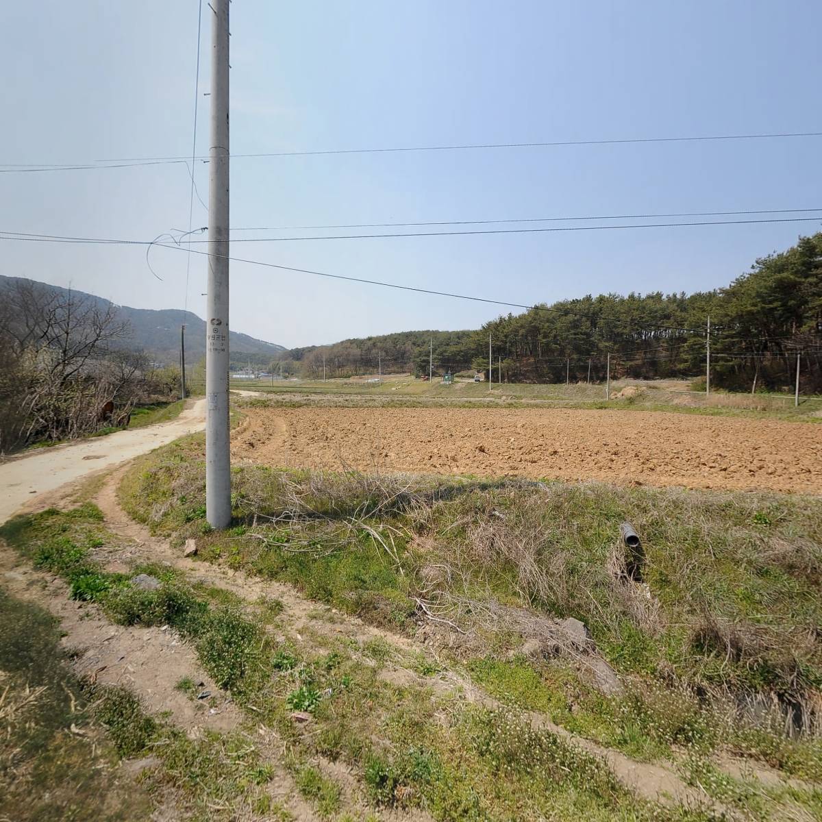 농업회사법인청양유통(주)