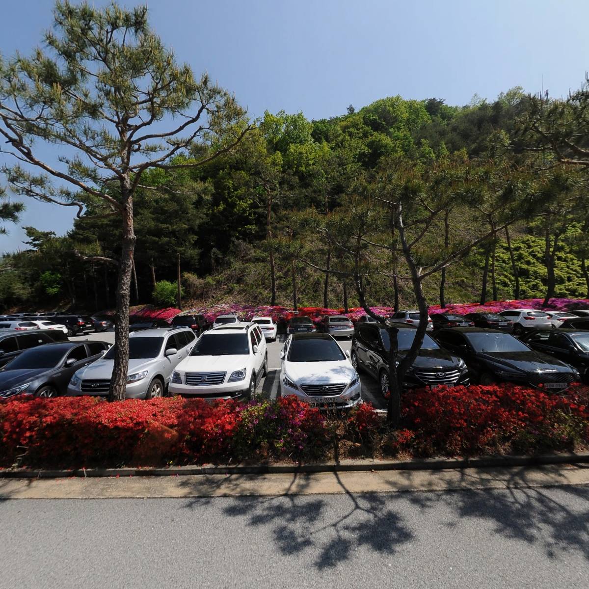 중원골프클럽유한회사_3