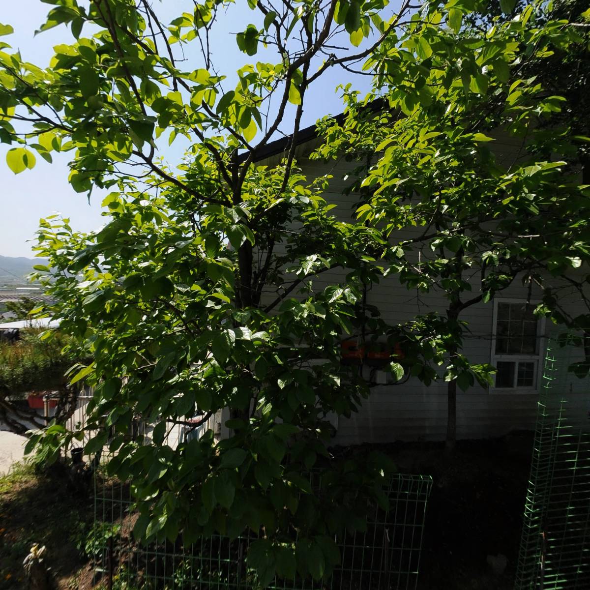 참소망의집_3