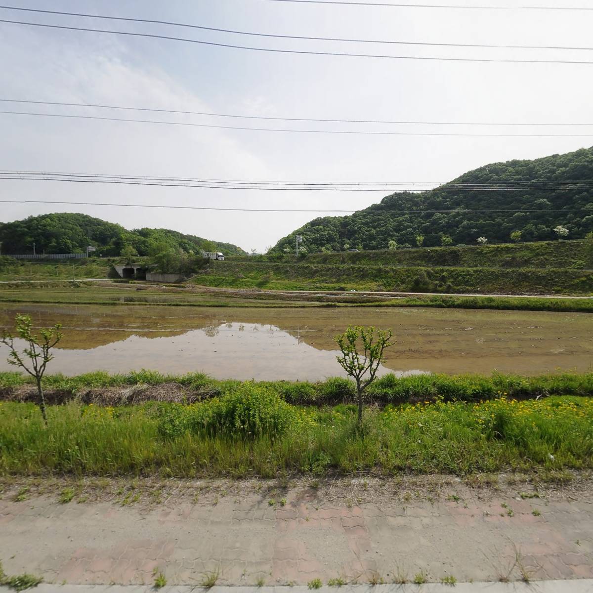 아이로프
