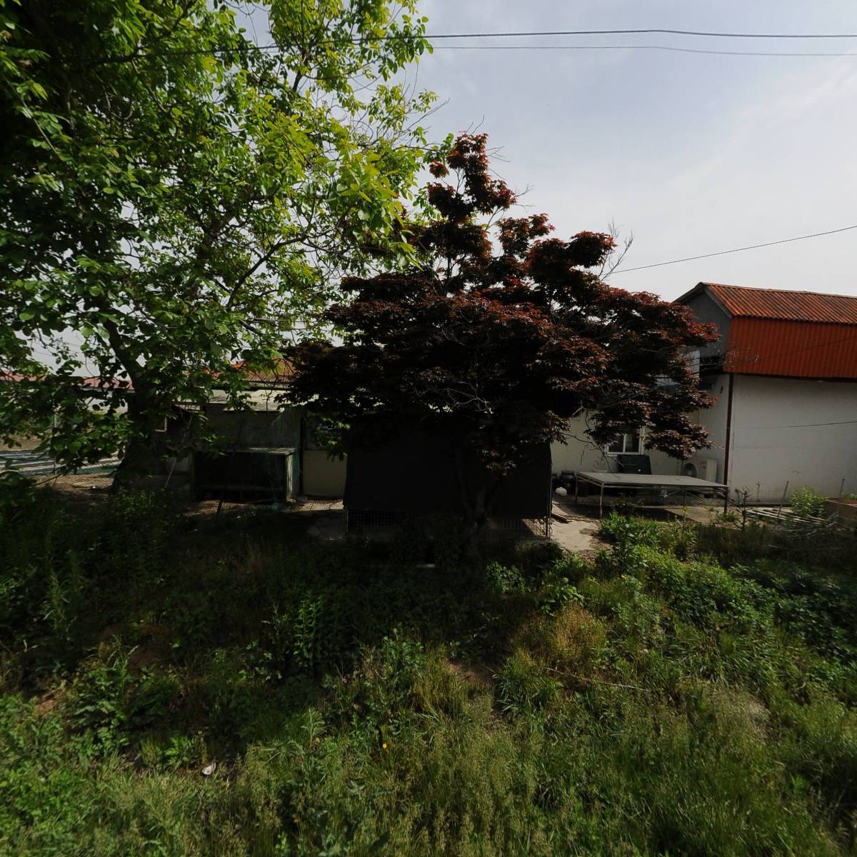 정림메디칼(주)