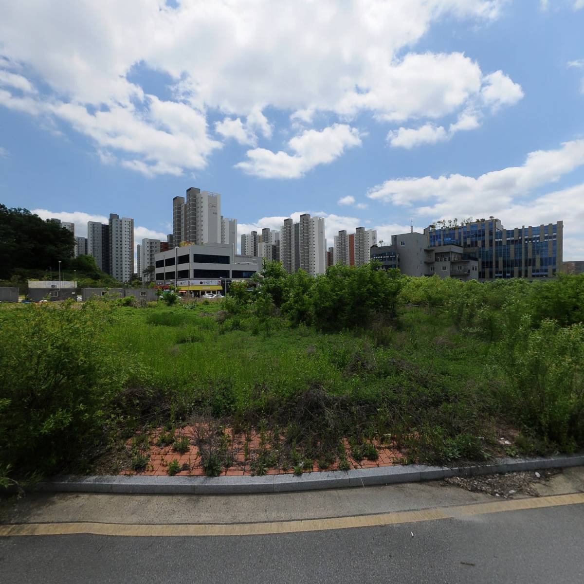 주식회사 서프커피_3