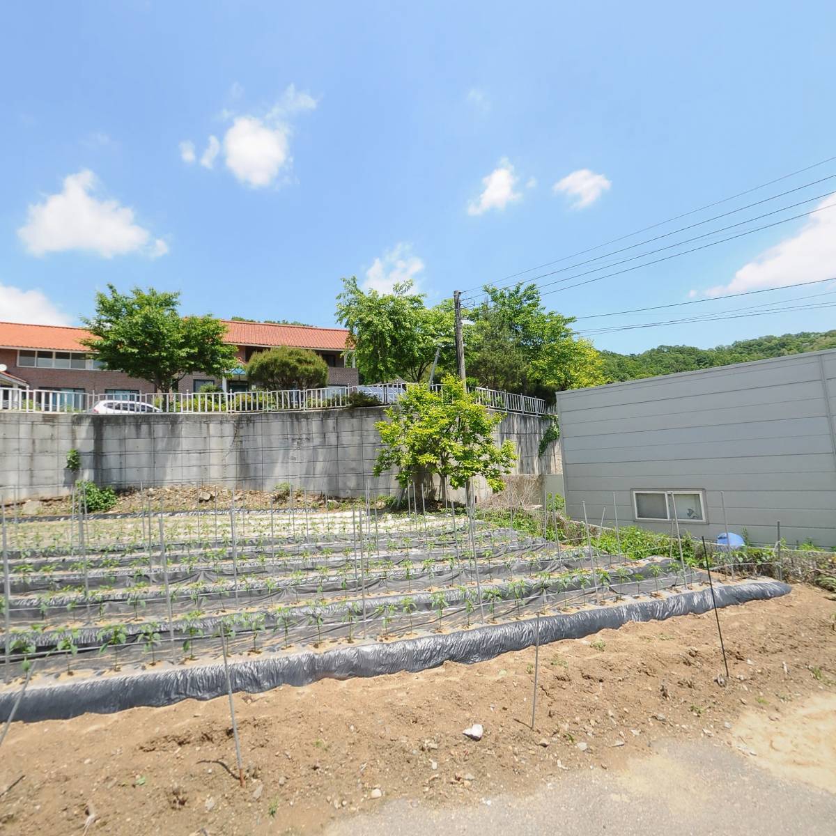 주식회사 케이비티