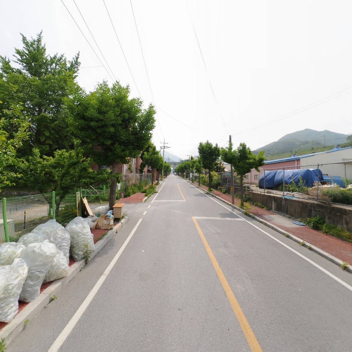 주식회사 단양클로렐라_2
