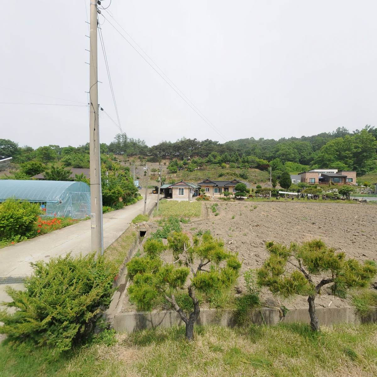 벤라펀(VENLAFUN)