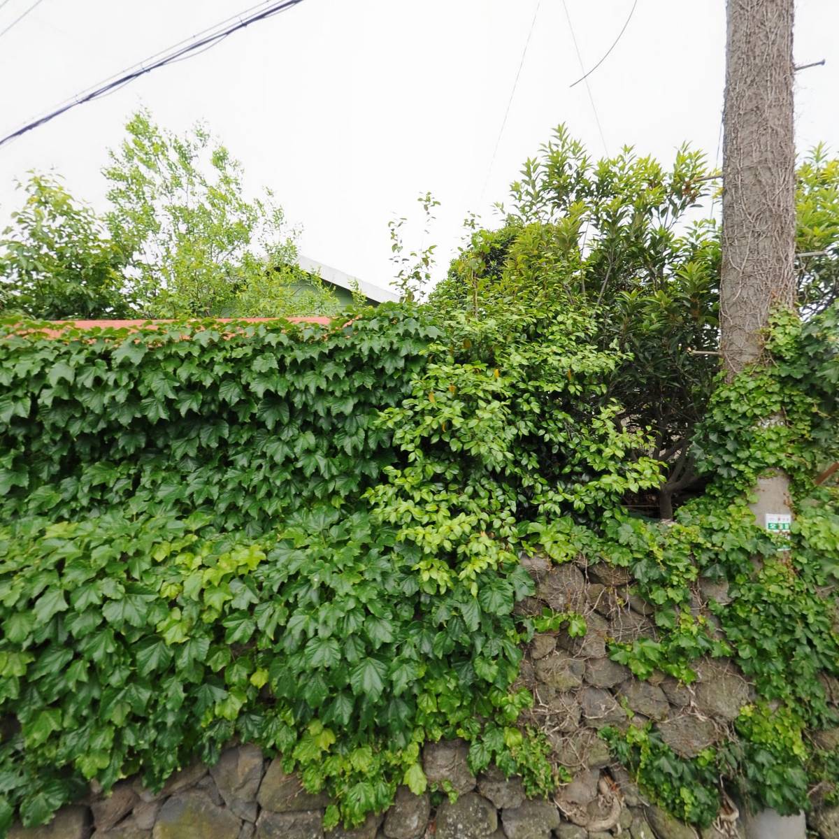 오등길천연염색_3