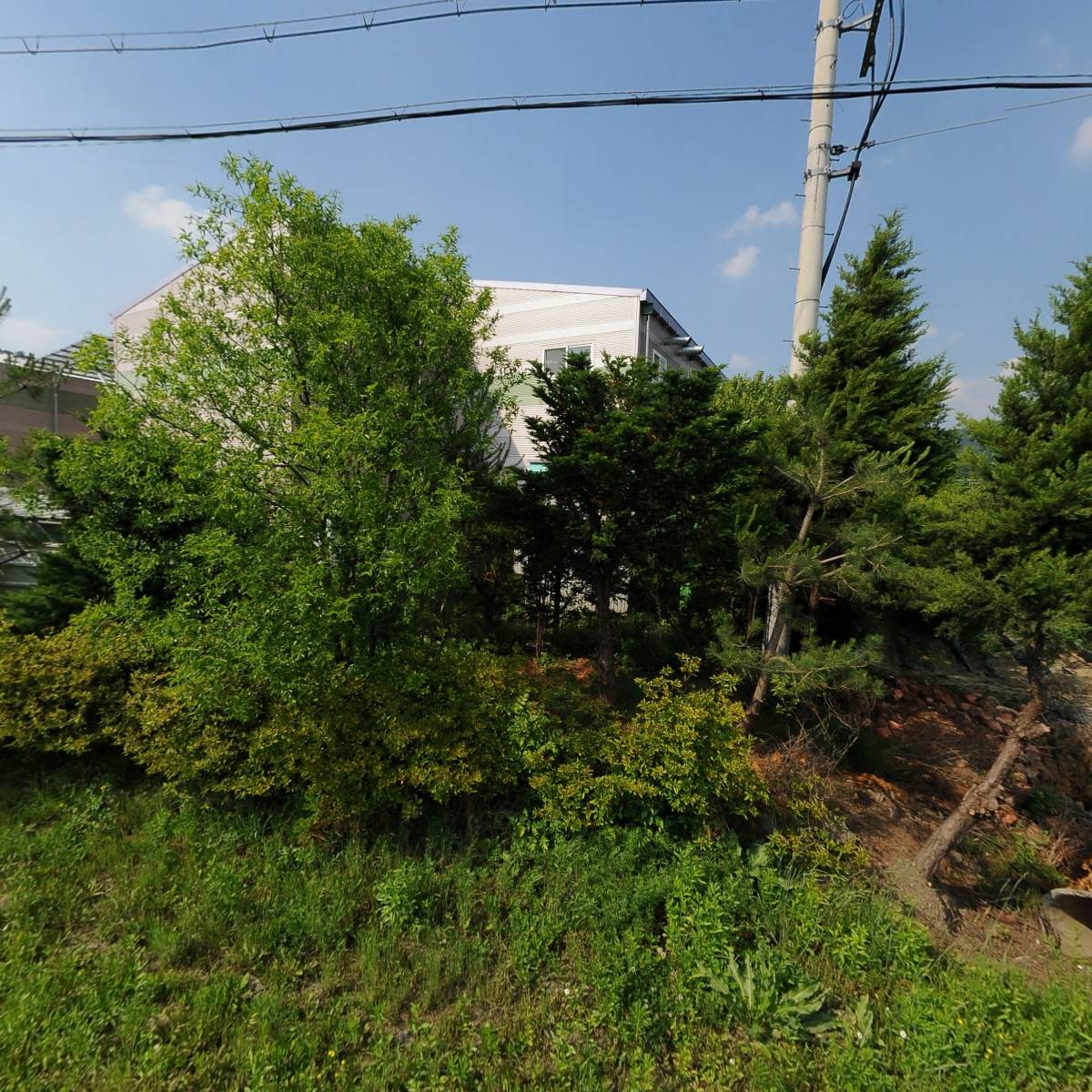 농업회사법인 괴산잡곡농산 유한회사 칠성지점