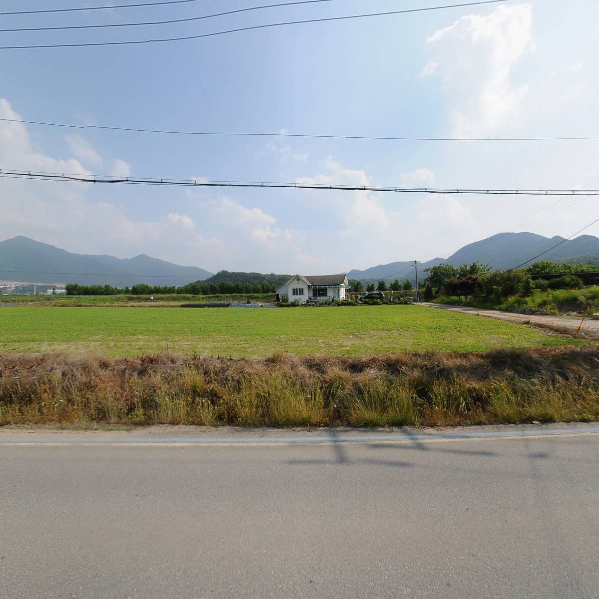 중앙농원_3