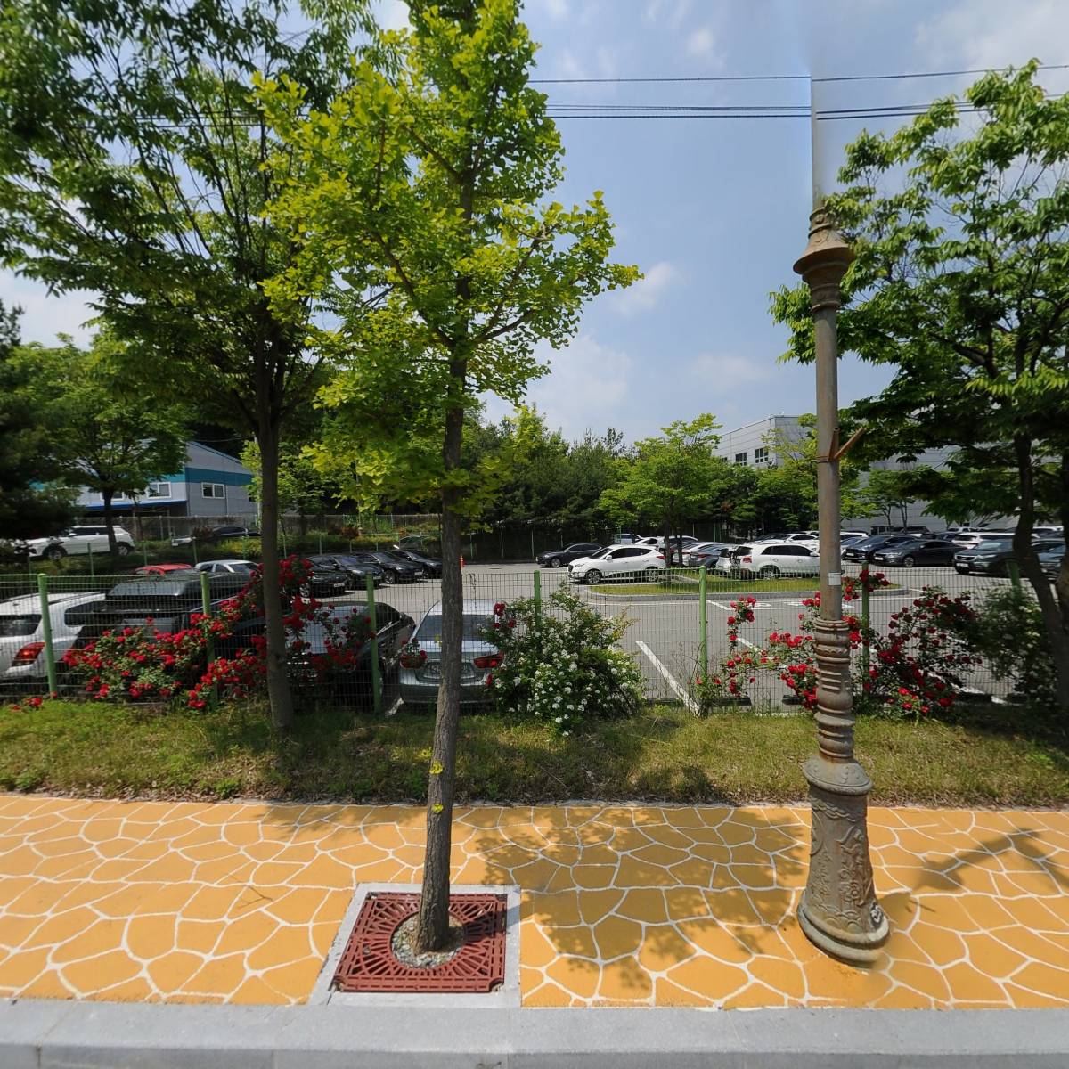 (주)에이엠에스