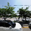 에덴항산화커피_3