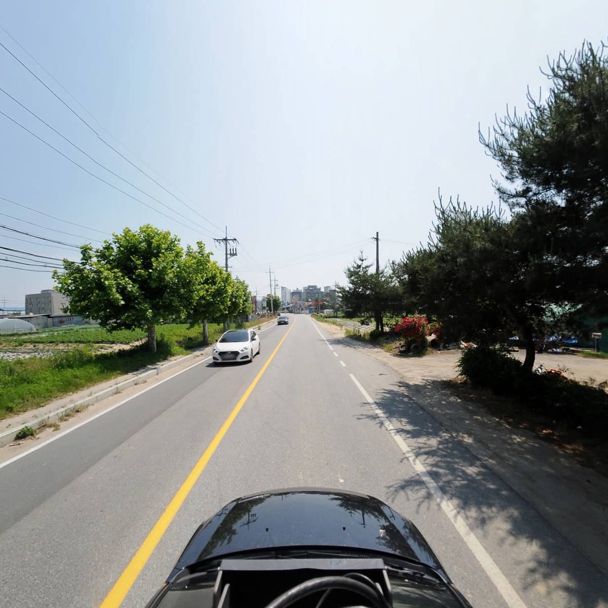 지크(Xic)_4